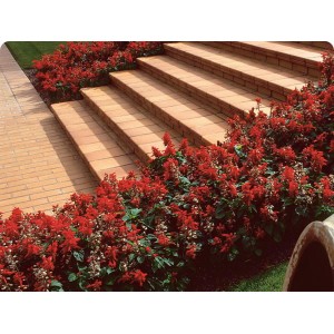 Gres de Aragon Natural