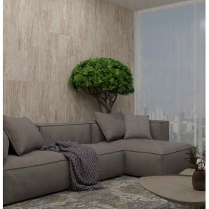 Axima Сальвадор