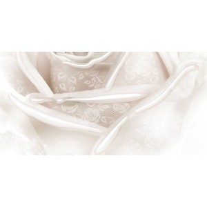 Belleza Нежность