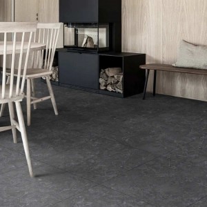 Керамин Рэй