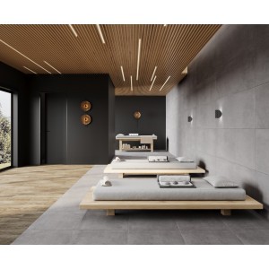 Laparet Betonica Grey Pro