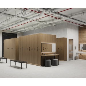 Laparet Betonica Silver Pro