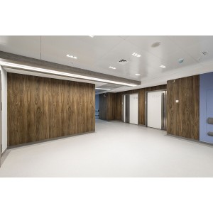 Laminam Legno Venezia