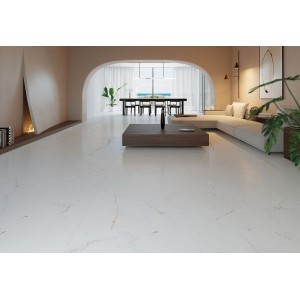 Museum Dual Museum Dual