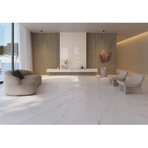 Museum Dual Museum Dual