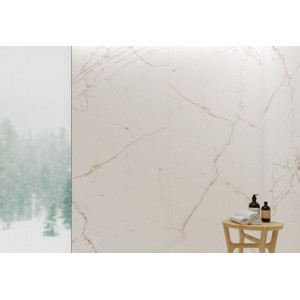 Museum Dual Museum Dual