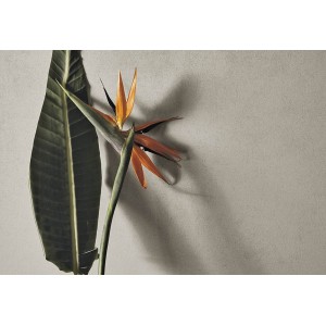 Refin Feel Refin Feel