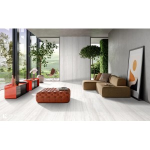 Zodiac Trevi Zodiac Trevi