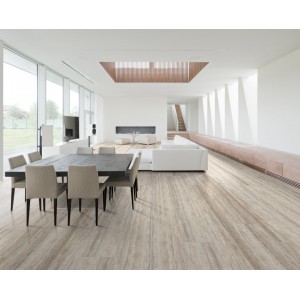 Zodiac Trevi Zodiac Trevi