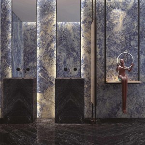 Venis Galaxy Venis Galaxy