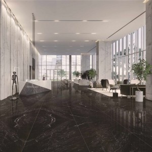 Venis Galaxy Venis Galaxy