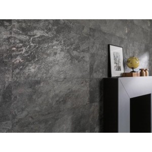 Venis Image Venis Image