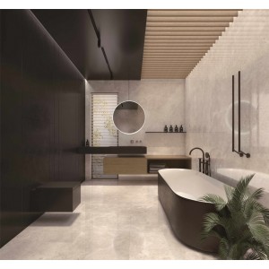 Venis Platinum Venis Platinum