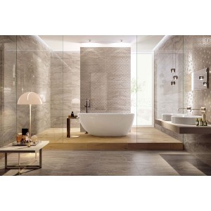 Venis Suprema Venis Suprema