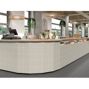 Mainzu Technical Soft