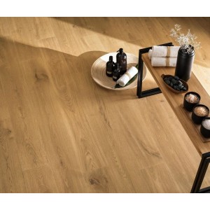 Atlas Concorde Entice