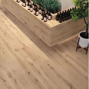 Atlas Concorde Exence