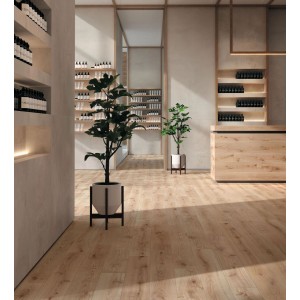 Atlas Concorde Exence