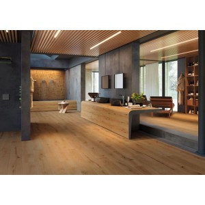 Atlas Concorde Exence