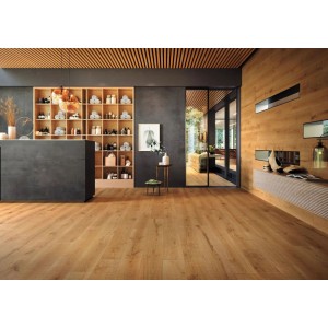 Atlas Concorde Exence