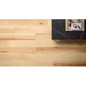 Atlas Concorde Log Cansei