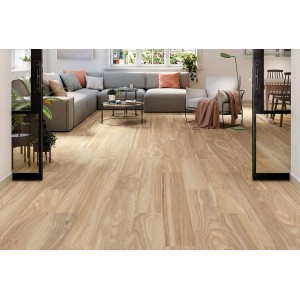 Porcelanite Dos Quebec